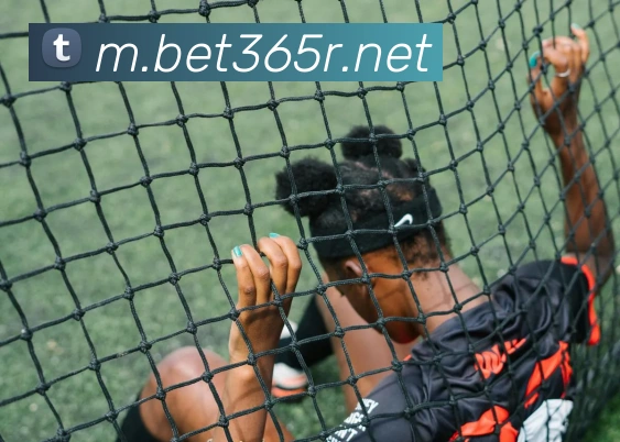 bet365中国官网平台生态图